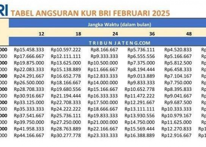 Bocoran Tabel Angsuran Pinjaman KUR BRI 2025, Cicilan Ringan Bikin Usaha Makin Lancar!