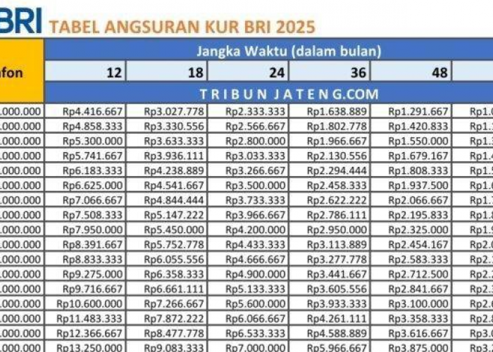 Plafon Pinjaman Rp100–500 Juta, Ini Tabel Cicilan KUR BRI Terbaru 2025!