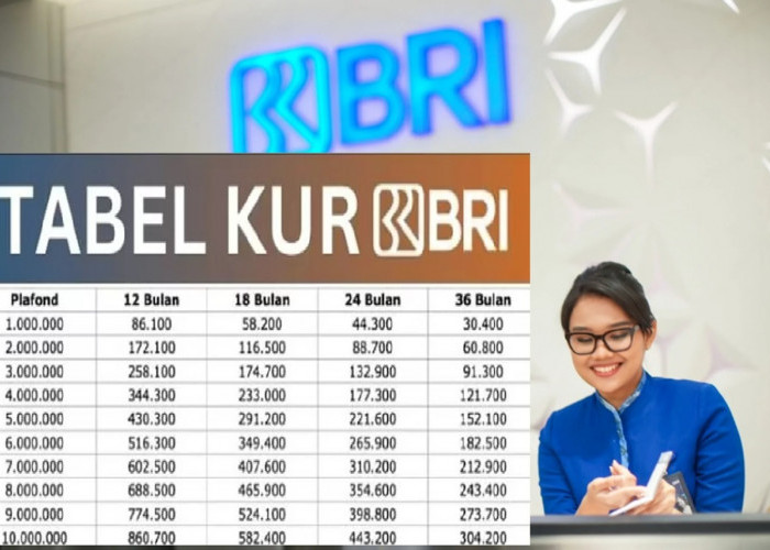 Pelaku UMKM Wajib Tau! Ini Syarat dan Trik Pengajuan KUR BRI Tanpa Jaminan Agar Bisa Langsung di ACC!