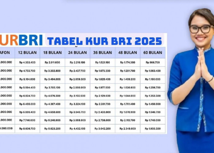 Permohonan Pinjaman Anda Gagal? Jangan Sedih! Ternyata Ini 7 Penyebab KUR BRI Ditolak 