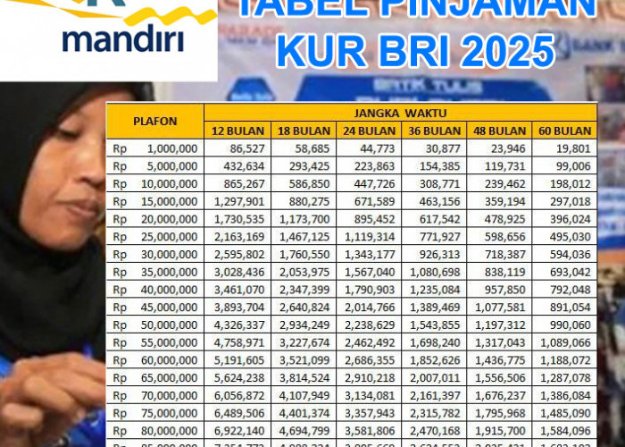 Cara Pintar Dapat Modal Usaha: Pinjaman KUR BRI 2025 Terbaru Plafon Rp250 Juta, Cek Cicilan Terendah