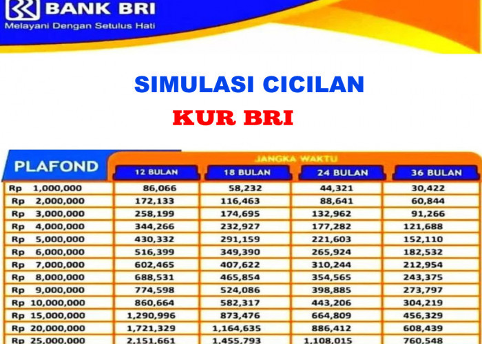 UMKM, Segera Manfaatkan! KUR BRI 2025 Pinjaman Rp25 Juta, Cicilan Ringan Cuma Rp400 Ribuan per Bulan