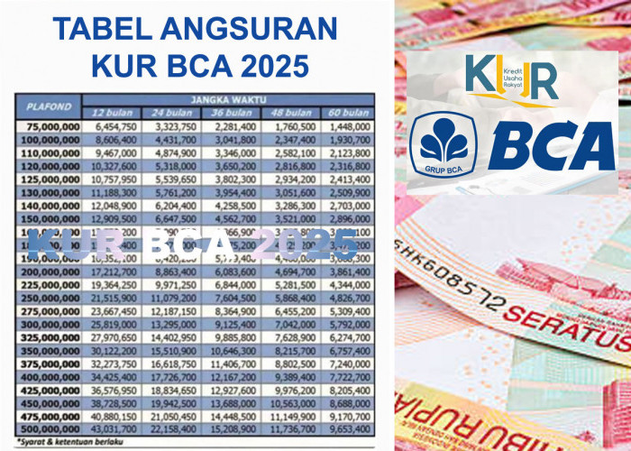 Cocok untuk Modal Usaha, Pinjaman Rp500 Juta KUR BCA 2025, Cicilan Ringan Tenor Sampai 60 Bulan