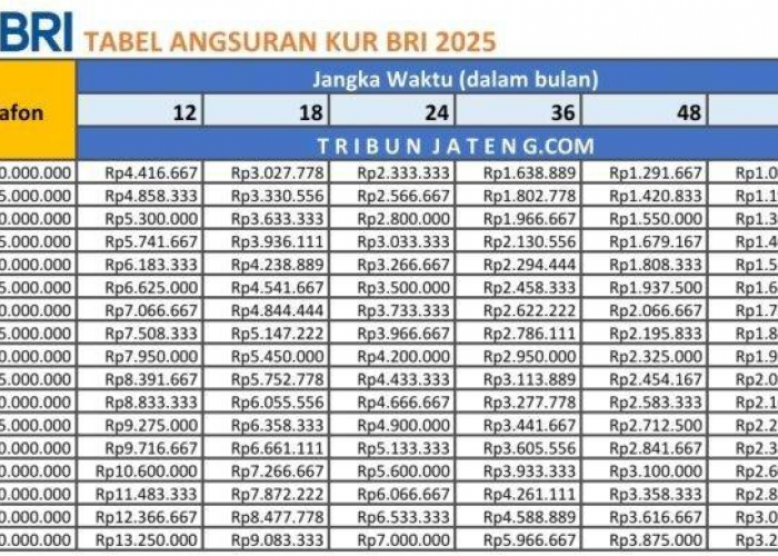 Berapa Cicilan Bulanan Dari Pinjaman Rp100 Juta di KUR BRI 2025? Dan Apa Saja Syaratnya?