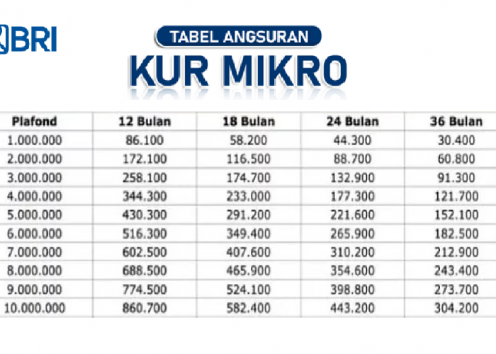 Ini Cara Agar KUR BRI di Acc Cepat, Serta Rincian Lengkap Bunga dan Angsuran Perbulannya!