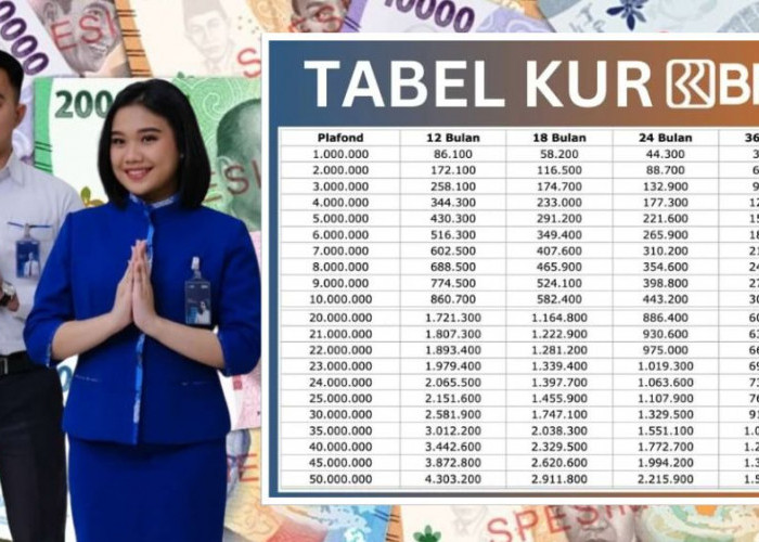 Cicilan Mulai 600 Ribuan, Tenor Hingga 5 Tahun, Simak KUR BRI Tabel Angsuran 25 Juta dan Syarat Pengajuannya