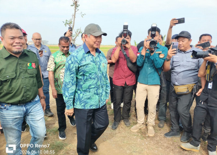 Utusan Khusus Presiden dan Gubernur Jabar Tanam Kedelai, Indramayu Jadi Pilot Project Nasional 