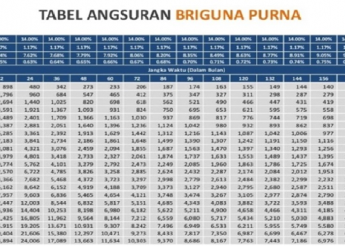 Pinjaman Pensiunan di BRI 2025: Bisa Dapat Rp300 Juta, dan Cicilan Ringan Mulai Rp400 Ribuan, Begini Caranya!