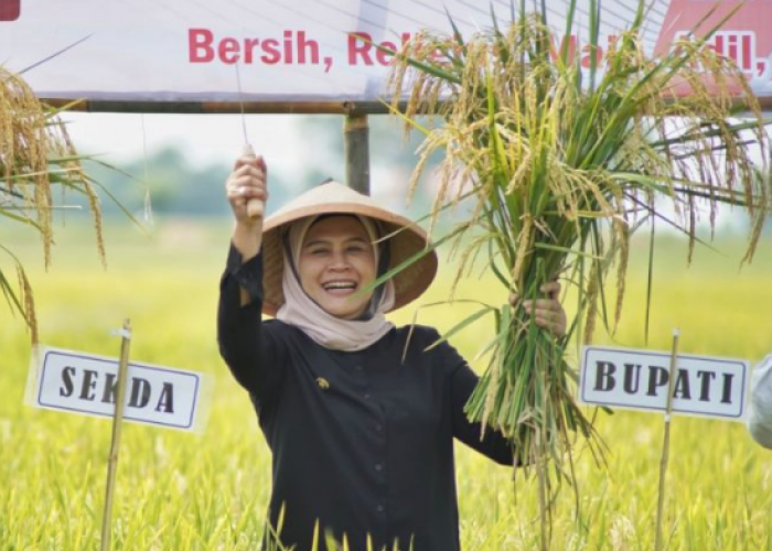 Jadi Lumbung Pangan Nasional, Bupati Nina Kembali Raih Penghargaan di Bidang Pertanian