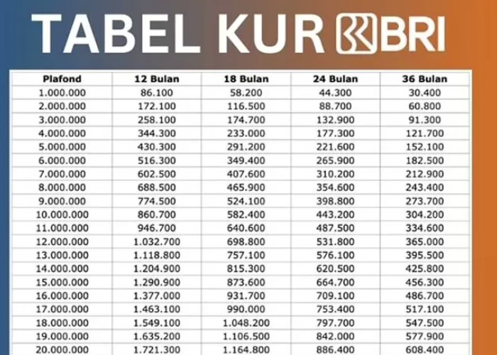 Angsuran Angsuran KUR BRI 2025 Pinjaman Rp200 Juta Berapa Bulan Jangka Waktu Lunas?
