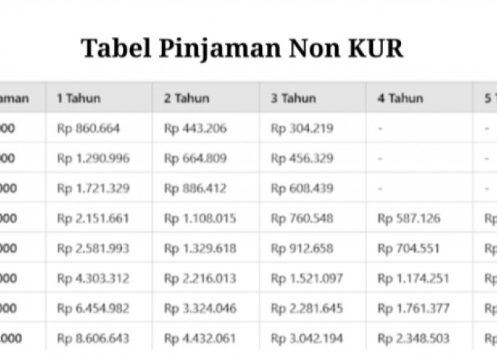 Mau Pinjaman Tanpa Riba Hingga Rp100 Juta? Non KUR BSI Solusinya, Cicilan Cuma Rp89 Ribu Per Hari!