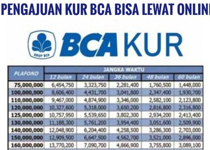 Tak Perlu ke Bank, KUR BCA Bisa Diakses Via Online, Pengajuan Cepat, Pinjaman Rp100 Juta Bisa Langsung Cair