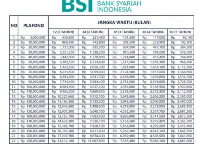 Bebas Riba, Bunga Rendah! Cek Simulasi Angsuran KUR Syariah BSI Terbaru!