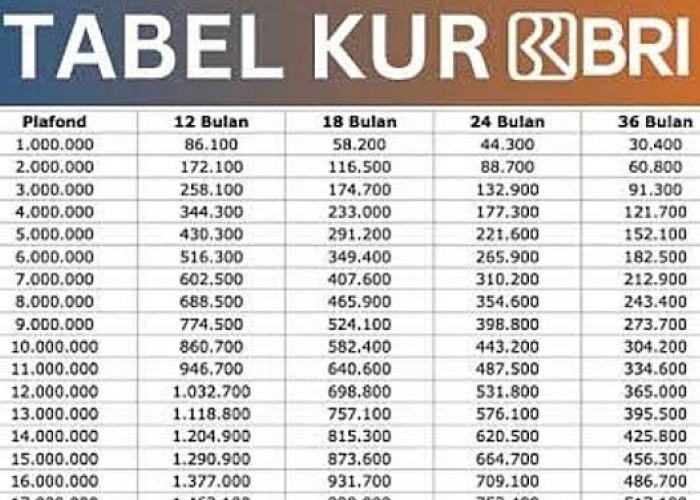 KUR BRI 2025 Kembali Hadir di Bulan Juni: Plafon Pinjaman Naik, Bunga Rendah dan Tanpa Agunan Tambahan