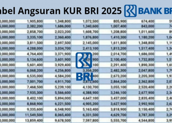Usaha Kamu Butuh Modal Tambahan Hingga 150 Juta? Simak Cara Ajukan KUR BRI 2025 Berikut Ini