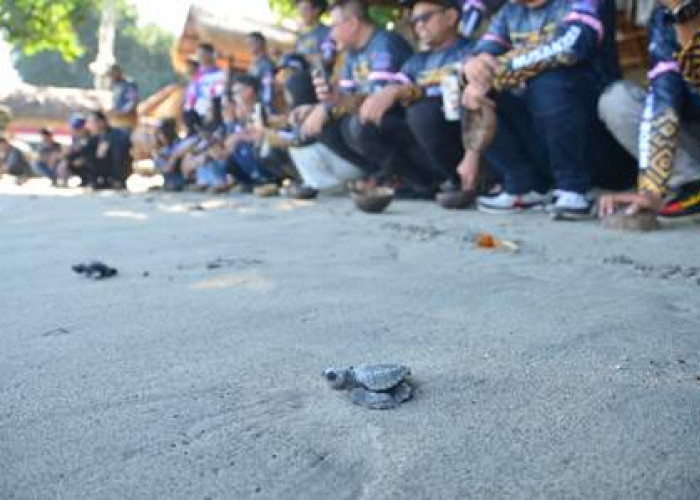 Lombok Pride! MAXi Tour Boemi Nusantara Hadirkan Sensasi Lombok 360, Jelajahi Alam, Budaya dan Pesisir Eksotis