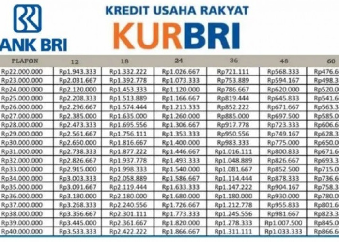 Tabel Angsuran KUR BRI 2025 Pinjaman 30 Juta, Dapatkan Skema Cicilan Ringan Mulai dari 164 Ribuan