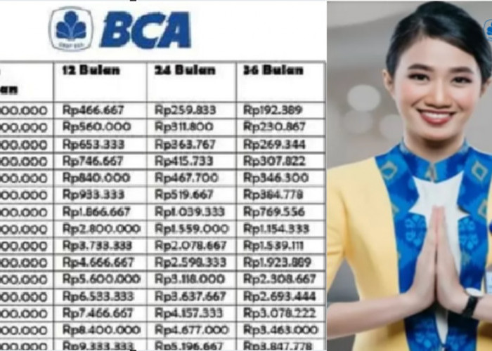 Update Terbaru Simulasi KUR Bank BCA: Pinjam 500 Juta Cicilan Bulanan Mulai 1 Jutaan Saja! Ajukan Sekarang!