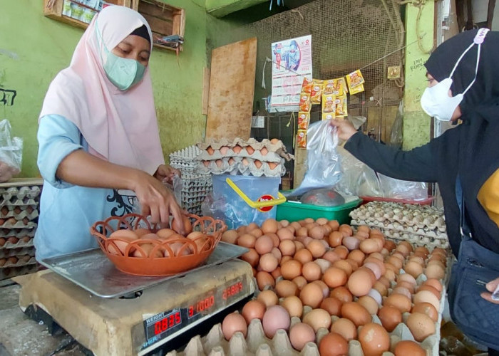 Pantau Harga Telur di Pasar, Ternyata Tiba-tiba Tembus Rp31 Ribu Konsumen Banyak yang Mengeluh