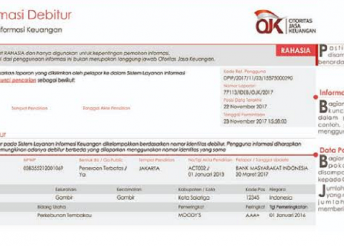 Cara Membersihkan BI Checking agar Bisa Kredit Lagi tanpa Ditolak Bank, Bisa Langsung Pengajuan KUR dan KPR!