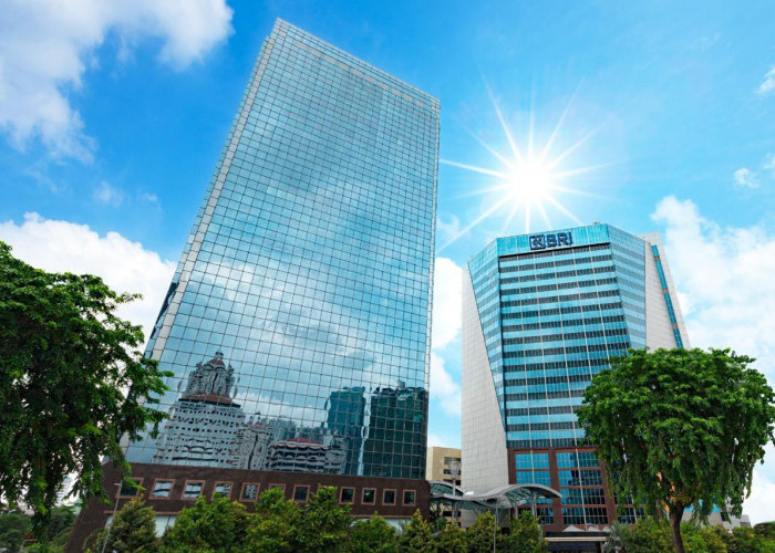 Lebih Dari Dua Dekade Melantai di Bursa Efek Indonesia, Harga Saham BBRI Telah Naik 48 Kali