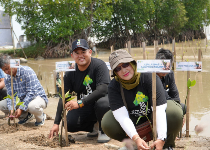 PHE ONWJ Tanam 10 Ribu Mangrove di Dua Titik Kritis Indramayu