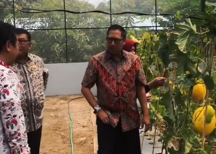 Pjs. Bupati Indramayu Tinjau Langsung Produksi Benih Unggul untuk Tingkatkan Produktivitas Pertanian