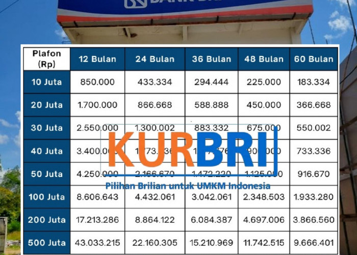 Simpel Banget! Catat Syarat Pengajuan KUR BRI Terbaru Juni 2025 dan Dapatkan Modal Usaha Sampai 500 Juta!