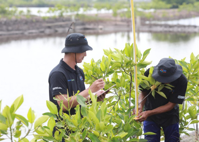 Peringati Hari Lingkungan Hidup Sedunia, BRI Pertegas Komitmen dalam Menjaga Ekosistem Lingkungan
