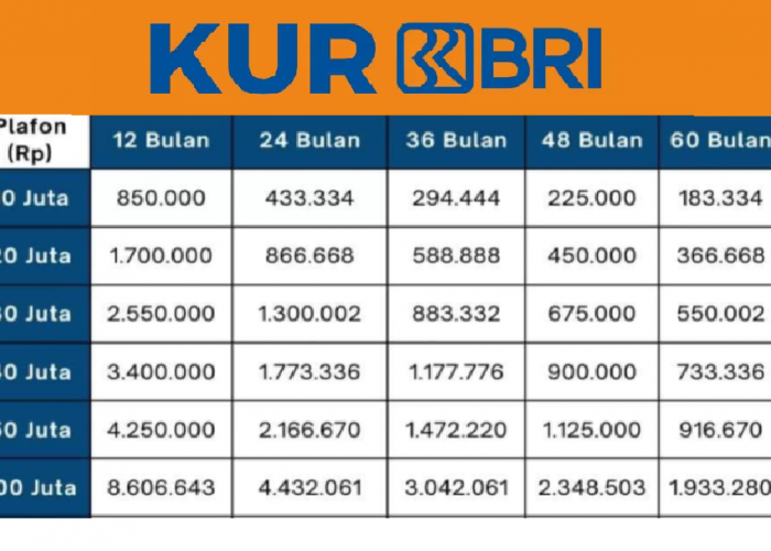 Cicil Mulai 2 Jutaan, Ini Rincian Tabel KUR BRI 2025 Pinjaman 100 Juta Edisi Bulan Juli Terbaru!