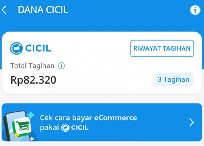DANA Cicil Tidak Bisa Digunakan? Tenang, Begini Cara Mudah Mengatasinya Biar bisa Dipakai Lagi!