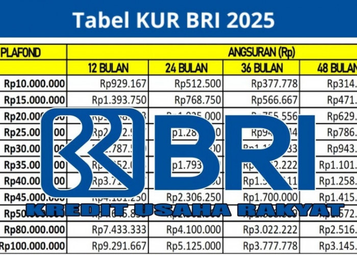 Tabel KUR BRI 2025 Pinjaman 100 Juta, Berikut Rincian Cicilan Berdasarkan Tenor Tahunan
