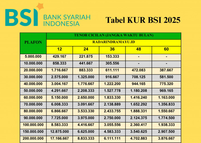Pinjaman Modal Usaha Syariah 2025, KUR BSI 2025 Bisa Ajukan Rp1–100 Juta dengan Bebas Riba!