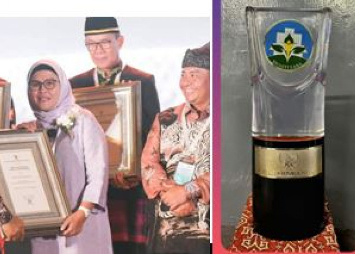 Bupati Nina Raih Penghargaan Kabupaten Sehat Swasti Saba Wiwerda 