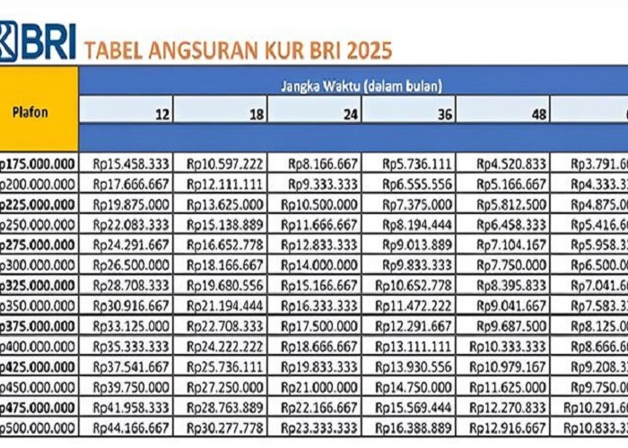 Dapatkan Skema Pembiayaan Modal Usaha 500 Juta dari Pinjaman KUR BRI, Berikut Tabel Rincian Cicilan 216 Ribuan