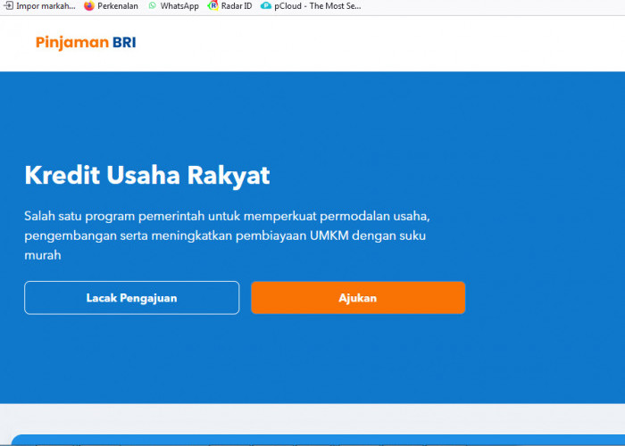 Cukup Modal Ponsel, KUR BRI 2025 Bisa Diajukan Secara Online, Begini Caranya