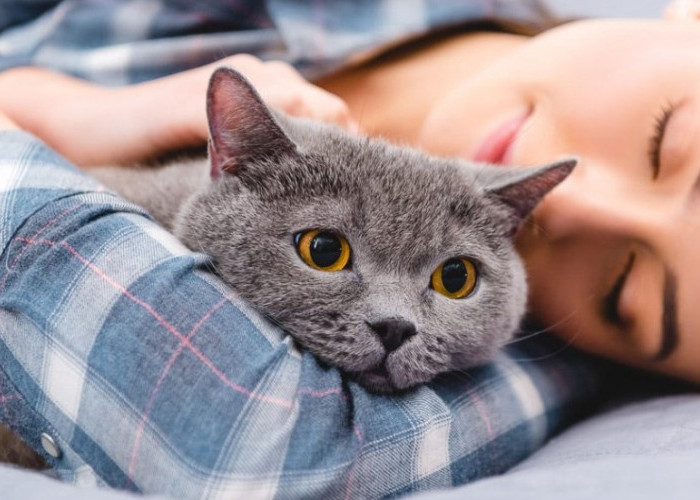 5 Efek Tidur Bersama Kucing yang Ternyata Masih Sering Disepelekan! Simak Selengkapnya Disini!