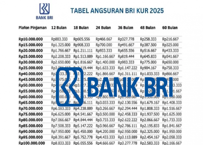 Ini Skema Lengkap Cicilan KUR BRI 2025 Plafon Pinjaman Rp100 Juta, Bunganya Ringan Kamu Wajib Coba!