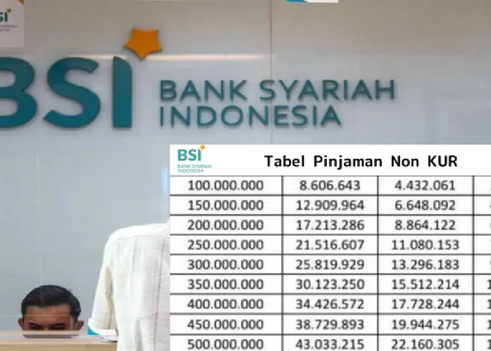 BSI Tawarkan Pinjaman Syariah Non KUR 2025: Solusi Modal Hingga Rp200 Juta untuk UMKM dan Masyarakat Umum!