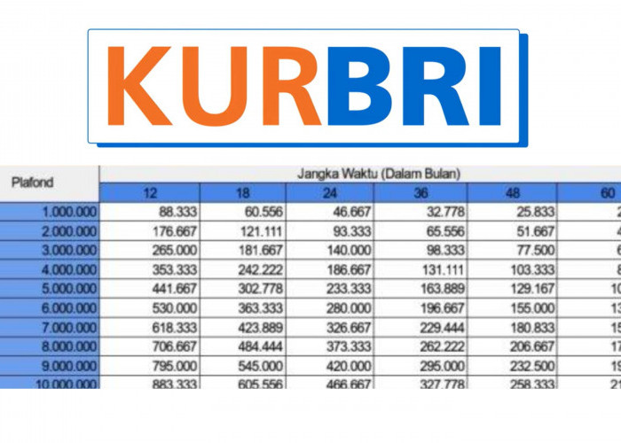 Cara Daftar KUR BRI 2025 Agar Cepat di ACC, Serta Daftar Skema Tabel Cicilan KUR Hingga Rp10 Juta