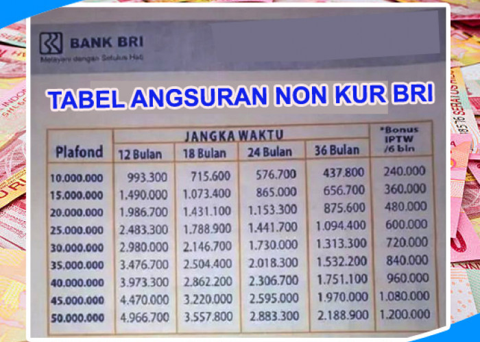 Pinjaman Rp50-Rp100 Juta untuk Usaha, Ajukan Non KUR BRI 2025 yang Bisa Dicicil hingga 60 Bulan, Bunga Rendah