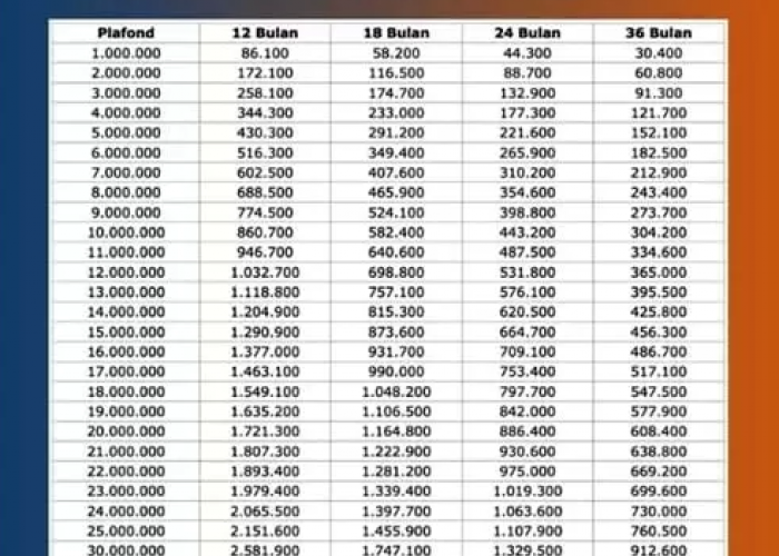 Cek Simulasi Tabel Angsuran KUR BRI 2025 Pinjaman 30 Juta! Lengkap Cicilan, Tenor, dan Syarat Pengajuan!