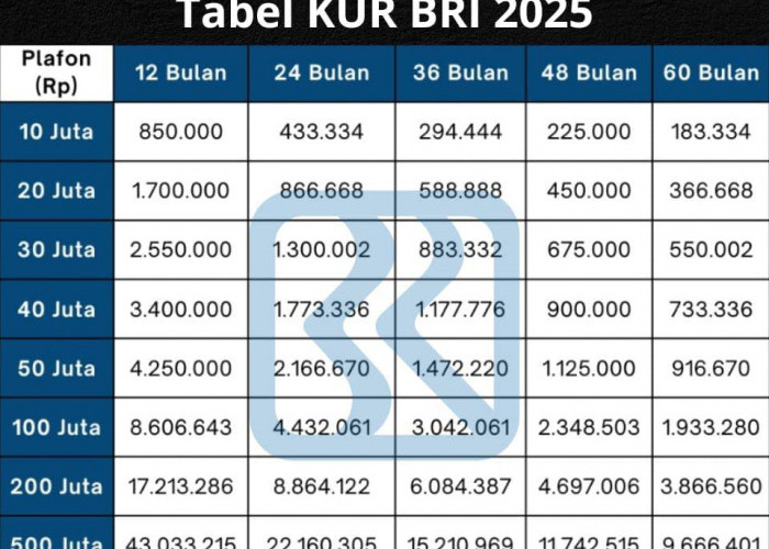 KUR BRI 2025 Buka Pinjaman Hingga Rp100 Juta, Bunganya Cuma 6 Persen! Cek Tabel Angsuran Terbarunya!