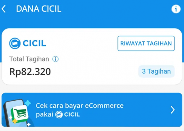 Mau Pinjam Uang Cepat Cair dan Bisa Dicicil di Aplikasi DANA? Begini Caranya, Resmi Terafiliasi OJK!