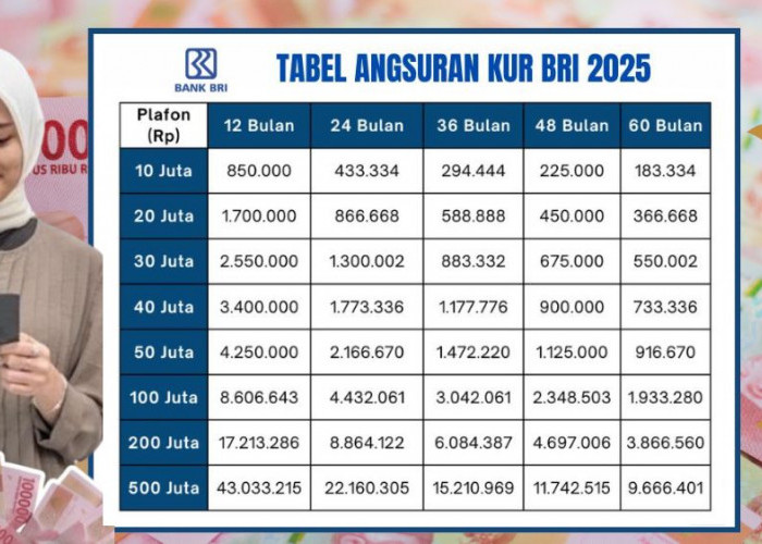 Dana KUR BRI Rp30 Juta Angsuran Mulai 650 Ribuan, Cek Simulasi Tenor dan Syarat UMKM