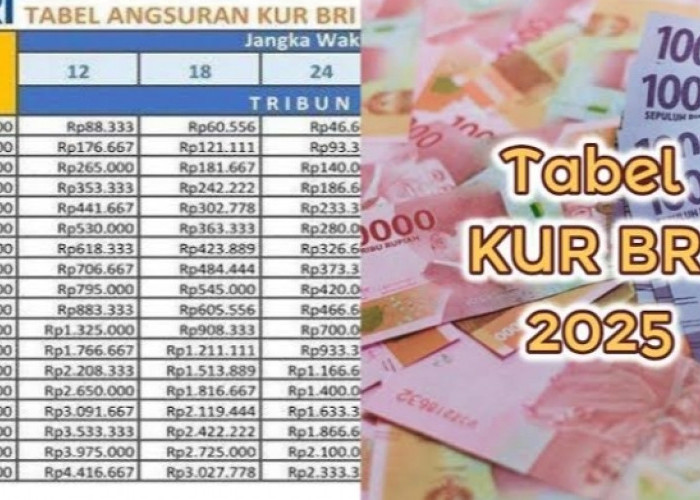 Pinjaman Modal Agar Usaha Optimal? Cek Angsuran KUR BRI 50 Juta Tenor 5 Tahun, Suku Bunga Flat 6 Persen