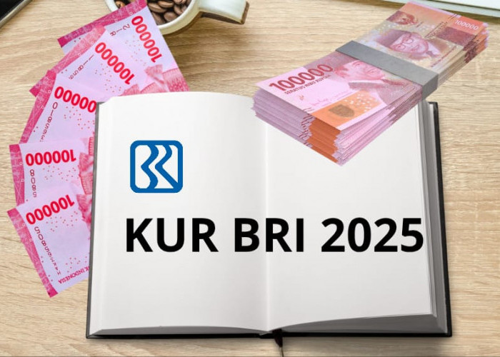 UPDATE KUR BRI 2025! Pinjaman hingga Rp500 Juta dengan Suku Bunga Rendah, Cek Syarat & Cara Pengajuannya!