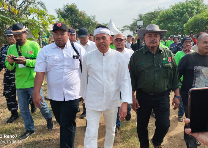 Utusan Khusus Presiden dan Gubernur Jabar Tanam Kedelai, Indramayu Jadi Pilot Project Nasional 