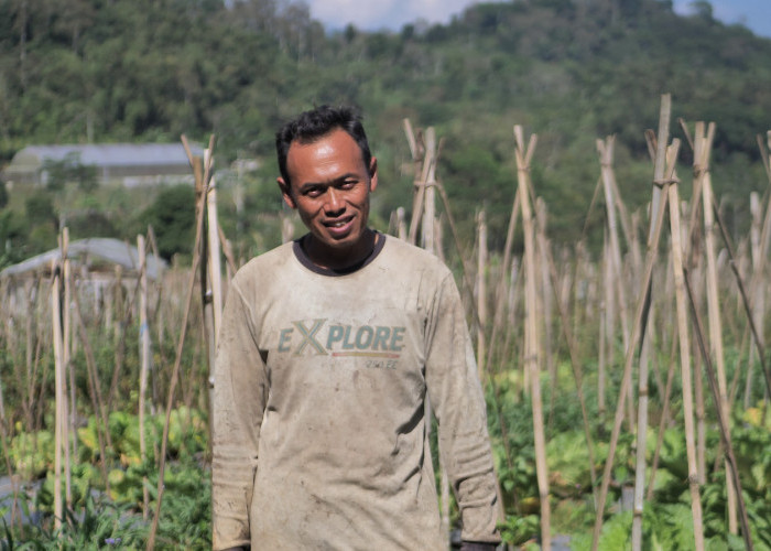 Mengenal Desa BRILian Sumowono, Desa Sayur yang Tumbuh dan Terus Berinovasi Bersama BRI 