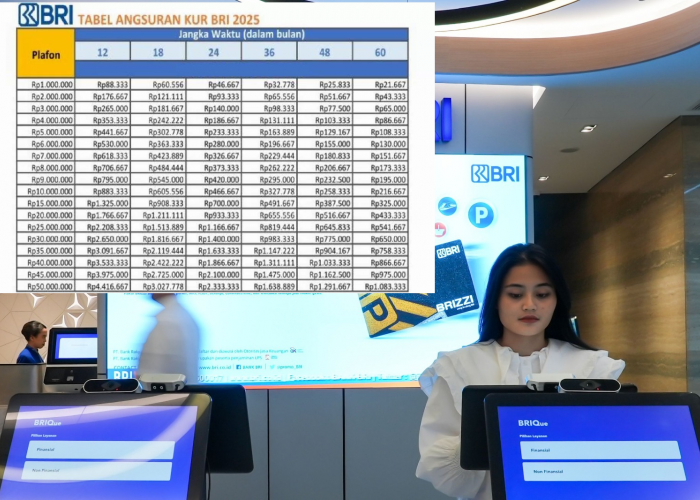 Pinjaman KUR BRI 2025: Modal KTP Bisa Cair Rp10 Juta, Bayar Ringan Mulai Rp100 Ribuan Aja! Ini Cara Ajukanya